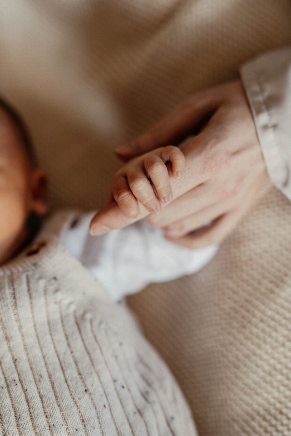 Kleine Babyhand hält den Finger eines Erwachsenen